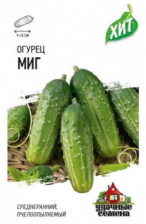 Огурец Миг ПЧ, среднеранний, 9-12см ХИТ 0,5гр Гавриш/ЦВ