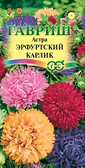 С Ц Астра Эрфуртский Карлик Смесь помп, махр, до 30см, однол 0,3гр Гавриш/ЦВ 1/10