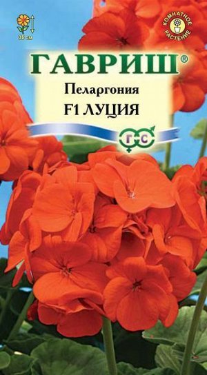 Пеларгония Луция F1 зональная, оранжевая, 35см 4шт Гавриш/ЦВ