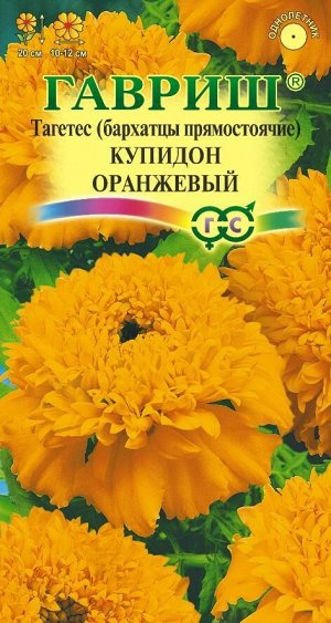 С Ц Бархатцы Купидон Оранжевый прямост, 20см, однол 0,05гр Гавриш/ЦВ