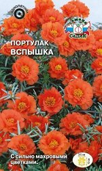 Портулак Вспышка махровый, крупноцв, оранжевый, 10см, однол 0,06гр Седек/ЦВ