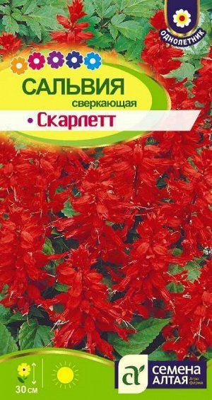 Сальвия Скарлет сверкающая красная, 30см, однол 0,1гр СА/ЦВ