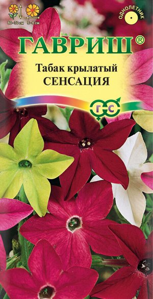 Табак Сенсация душистый, смесь, 60-70см, однол 0,05гр Гавриш/ЦВ