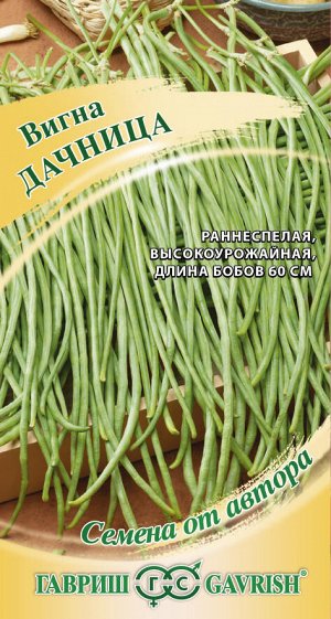 Фасоль Вигна Дачница раннеспелая, вьющ, темно-зеленая 10шт Гавриш/ЦВ 1/10