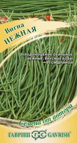 Фасоль Вигна Нежная среднеспелая, вьющ, темно-зеленая 10шт Гавриш/ЦВ