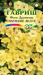 Флокс друммонди Очарование Желтое крупноцв, низкор, до 25см, однол 0,05гр Гавриш/ЦВ