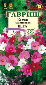 Космея Вега низкор смесь белых, красных, розовых, 30см, однол 0,5гр Гавриш/ЦВ