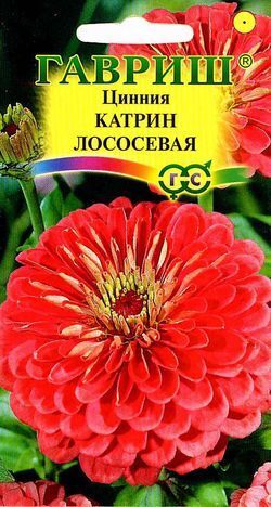 Цинния Катрин Лососевая георгинов, до 90см, однол 0,3гр Гавриш/ЦВ