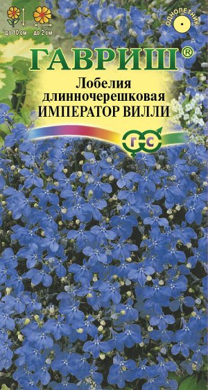 Лобелия Император Вилли ярко-синяя, 10см, однол 0,01гр Гавриш/ЦВ