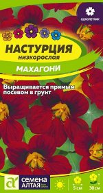 С Ц Настурция Махагони низкор, красная, 30см, однол 1гр СА/ЦВ