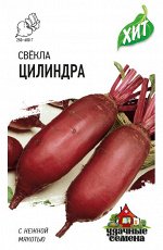 Свекла Цилиндра столовая, среднеспелая, цилиндр, для хранения ХИТ 3гр Гавриш/ЦВ