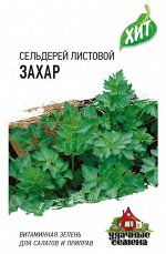 Сельдерей листовой Захар среднеспелый ХИТ 0,3гр Гавриш/ЦВ