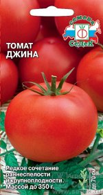 Томат Джина среднерос, раннеспелый, оранжево-красный, крупнопл 0,1гр Седек/ЦВ