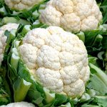 Капуста цветная, Брокколи Кольраби