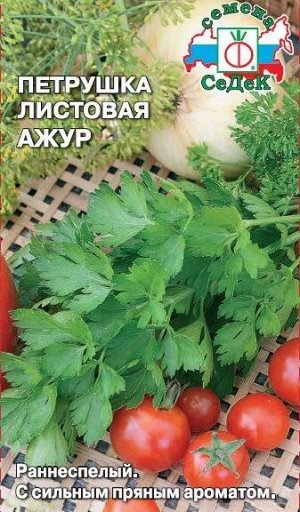 Петрушка листовая Ажур