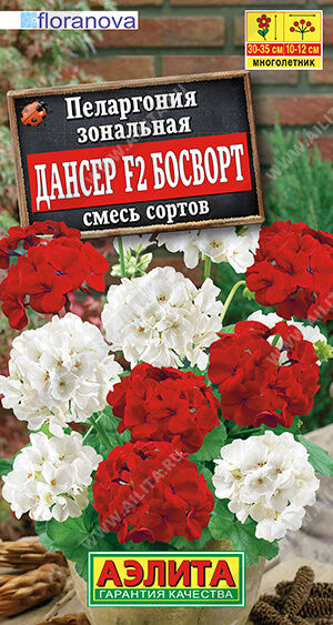 Пеларгония Дансер F2 Босворт, смесь сортов