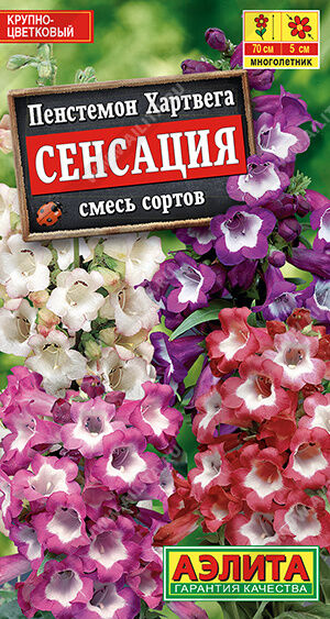 Пенстемон Сенсация, смесь окрасок