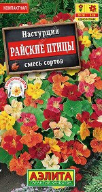 Настурция Райские птицы, смесь сортов