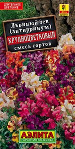 Львиный зев Крупноцветковый, смесь сортов