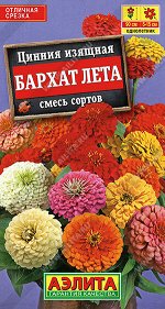 Цинния Бархат лета, смесь сортов