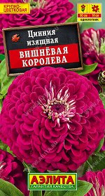 Цинния Вишневая королева