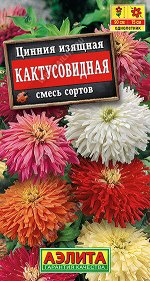 Цинния Кактусовидная, смесь сортов