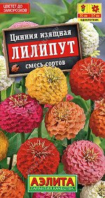 Цинния Лилипут, смесь сортов
