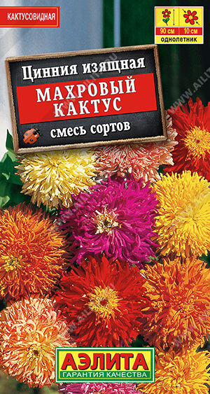 Цинния Махровый кактус, смесь сортов