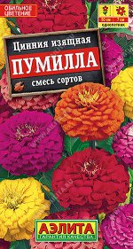 Цинния Пумилла, смесь сортов