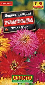 Цинния Хризантемовидная, смесь сортов