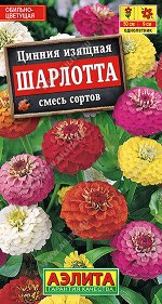 Цинния Шарлотта, смесь сортов