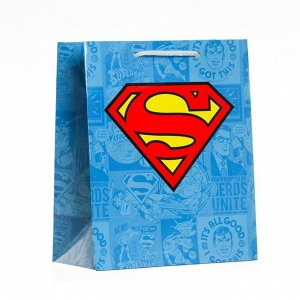 Пакет подарочный Superman, 180х223х100 мм