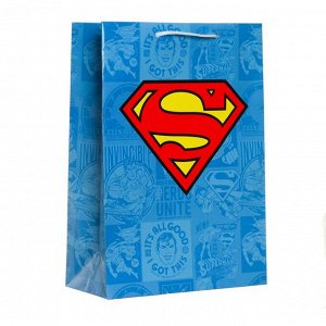 Пакет подарочный Superman, 220х310х100 мм