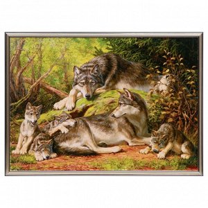 Картина "Семейство волков" 50х70(53х73) см