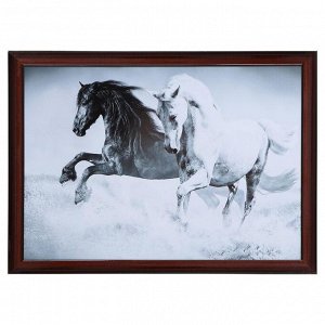 Картина "Пара лошадей" 56х76см рамка МИКС
