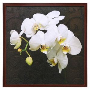 Картина "Белая орхидея" 75*75 см рамка микс