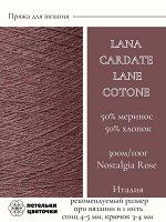 Пряжа для вязания Lanecardate, 100 гр., Nostalgia Rose
