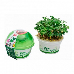 Набор для выращивания микрозелень Редис