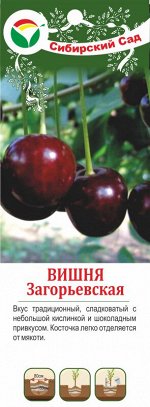 Вишня Загорьевская (крупн/саж с этикеткой) 1шт (Сиб Сад)
