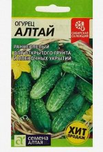 Семена Огурец &quot;Алтай&quot;, раннеспелый, пчелоопыляемый, цп, 0,5 г