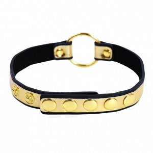 Чокер "Luxury Gold"