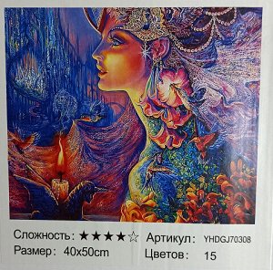 Картина для раскрашивания 2 в 1 (раскраска+стразы) 40х50 см Девушка с колибри