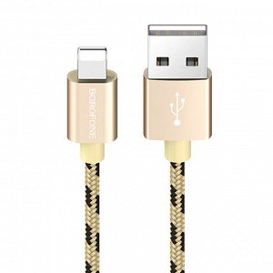 Кабель USB - Apple lightning Borofone BX24 Ring, 100 см (metal grey)