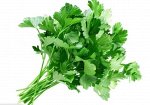 Петрушка (Импорт)