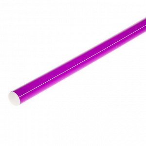 Палка гимнастическая 100 см, цвет фиолетовый