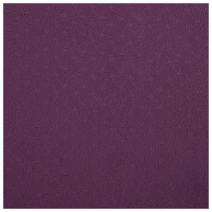 Коврик для йоги 183 × 61 × 0,8 см, цвет фиолетовый