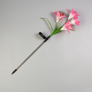 Светильник садовый на солнечной батарее "Лилия розовая" 80 см, 4 LED, МУЛЬТИ