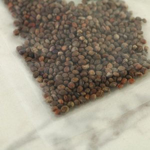 СИМА-ЛЕНД Набор для выращивания микрозелени «Редис санго»:лоток,семена (3 шт), льняной коврик (3 шт)
