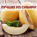 Семена Алтая. Богатый выбор овощных и цветочных семян