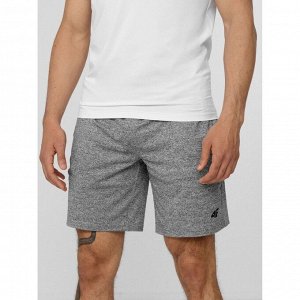 Шорты 4F MEN'S FUNCTIONAL SHORTS